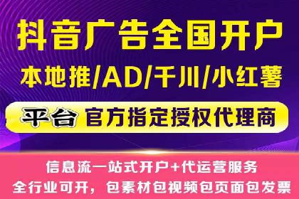 案例研究：百度竞价广告投放效果