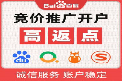SEM投放策略：成功案例解析
